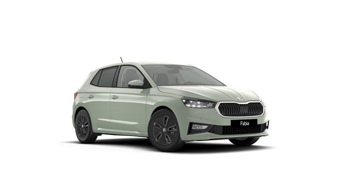 Fabia Selection1.0TSI 116cv MY 2026